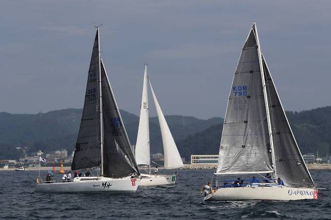 코리아컵 국제요트대회에 참가한 요트들이 파도를 가르며 질주하고 있다. (울진군 제공) 2022.08.18