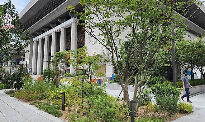 광화문광장에 조성한 복자기나무-마가목 숲