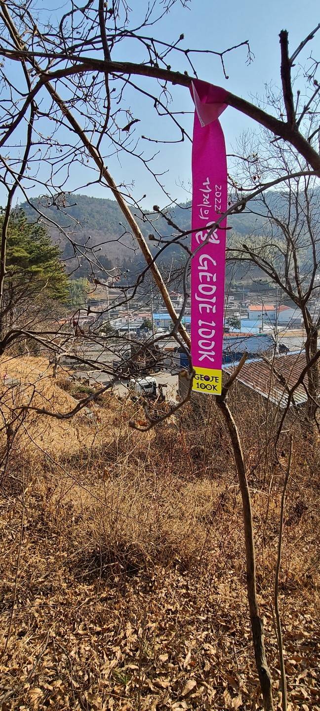 거제 100K 길을 표시하는 리본.