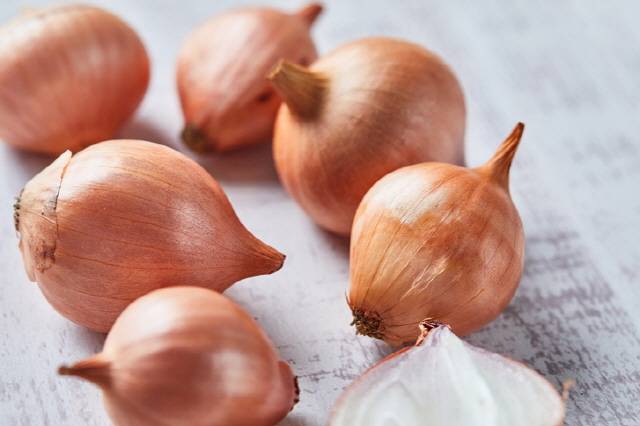 익힌 양파는 달지만, 혈당을 높이진 않는다./사진=게티이미지뱅크