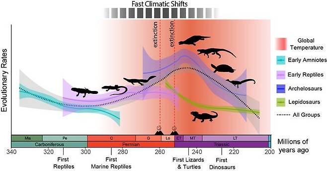 지구온난화와 기후변화에 대한 파충류 진화적 반응 (서울=연합뉴스) 파충류의 진화 속도는 지구 역사상 가장 긴 기후변화가 시작된 약 2억9천400만년 전부터 빨라지기 시작했다. 약 2억6천100만년 전 화산폭발로 시작돼 2억3천500만년 전까지 이어진 고온기에 두 차례의 대멸종이 이어지며 파충류의 경쟁자가 사라졌으며이 시기는 파충류에서 진화 속도가 가장 빨라진 시점과도 일치하는 것으로 나타났다. [Tiago R. Simoes 제공/ 재판매 및 DB 금지] photo@yna.co.kr