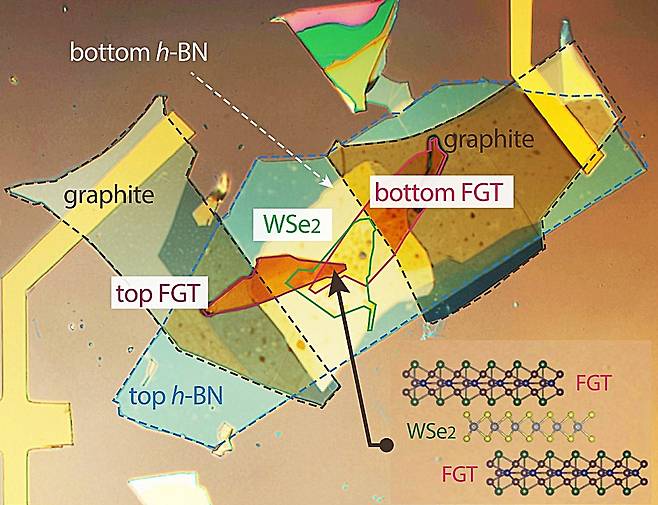 무결점 반데르발스 결합 FGT 소자의 광학 현미경 이미지.[한국표준과학연구원 제공]