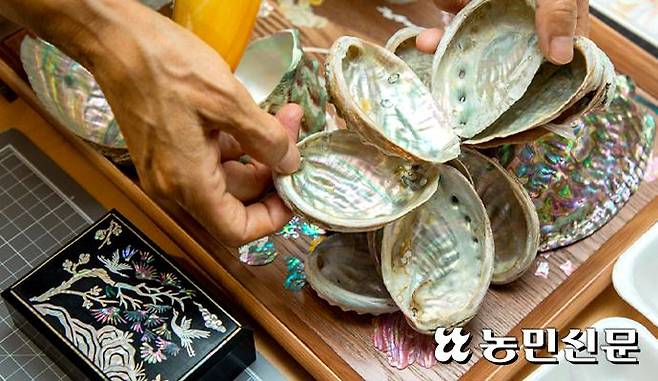 이영옥 전통자개명장이 자개 재료가 되는 다양한 조개류를 보여주고 있다.