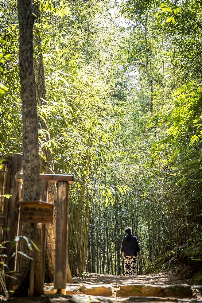 법정 스님의 자취를 따라가는 '무소유 길'. 길을 오르는 동안 구간구간 법정 스님의 글귀가 동행한다. / 이신영 영상미디어 기자