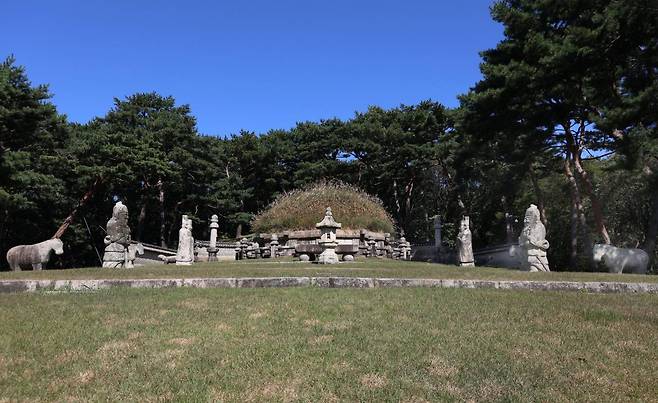 Silver grass grows on the royal burial grounds of the last king of the Goryeo Empire and Joseon founder Yi Seong-gye in Guri, Gyeonggi Province. Unlike other tombs with tall mounds that are mowed regularly, Yi’s tomb has silver grass growing on it. His fifth son, Bang-won, had the silver grass and soil from Hamheung planted on his father’s tomb. Photo © Hyungwon Kang