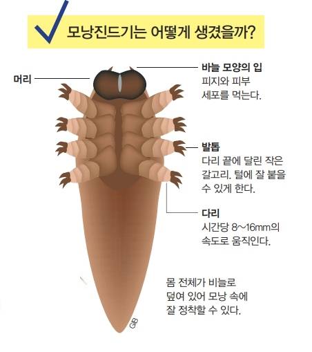 어린이과학동아DB