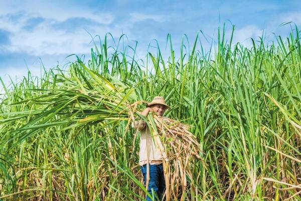 /게티이미지뱅크