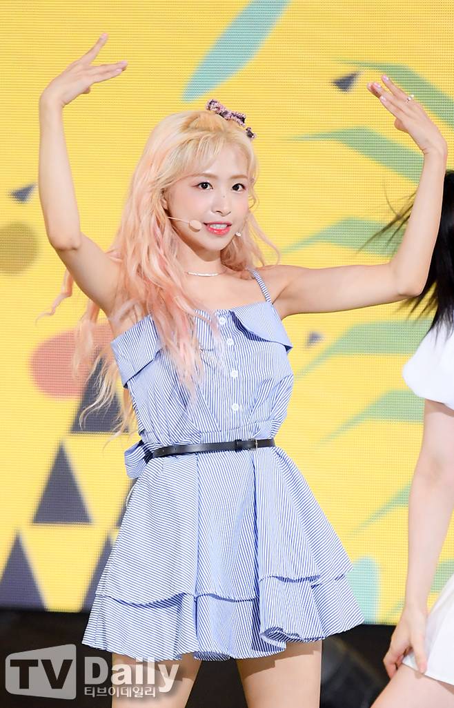 티브이데일리 포토