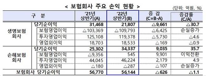 (자료제공=금융감독원)