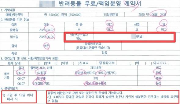 피해자 이씨가 제공받은 분양계약서. 구입 후 15일 환불규정이 적혀있다. 가정분양견이라는 소개와는 달리 생산자정보에 OO캔넬이라는 업체 명이 적혀 있다. 제보자 제공