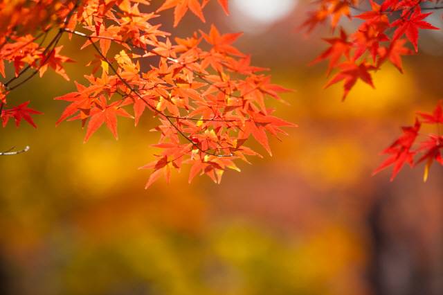선선해진 날씨엔 포만감을 느끼기가 어려워 식욕이 왕성해지므로, 식사를 오래 하는 습관을 들이는 게 좋다./사진=클립아트코리아