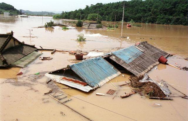 태풍 루사가 휩쓸고 간 2002년 9월 2일 경남 의령군 정곡면 월현천 제방의 붕괴로 무곡마을의 가옥이 지붕만 남긴 채 침수돼 있다. 경남신문제공