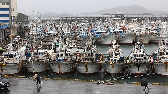 태풍 '힌남노' 북상에 대비해 제주 성산항에 정박해 있는 어선들 (사진=연합뉴스)