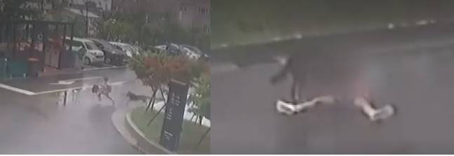지난 7월 11일 울산의 한 아파트 단지 내에서 초등학생이 개에 물려 크게 다치는 사고가 일어났다. 개는 2분간 쓰러진 아이의 목과 팔다리 등을 집요하게 물었다. (사진 출처=보배드림 영상 캡처)