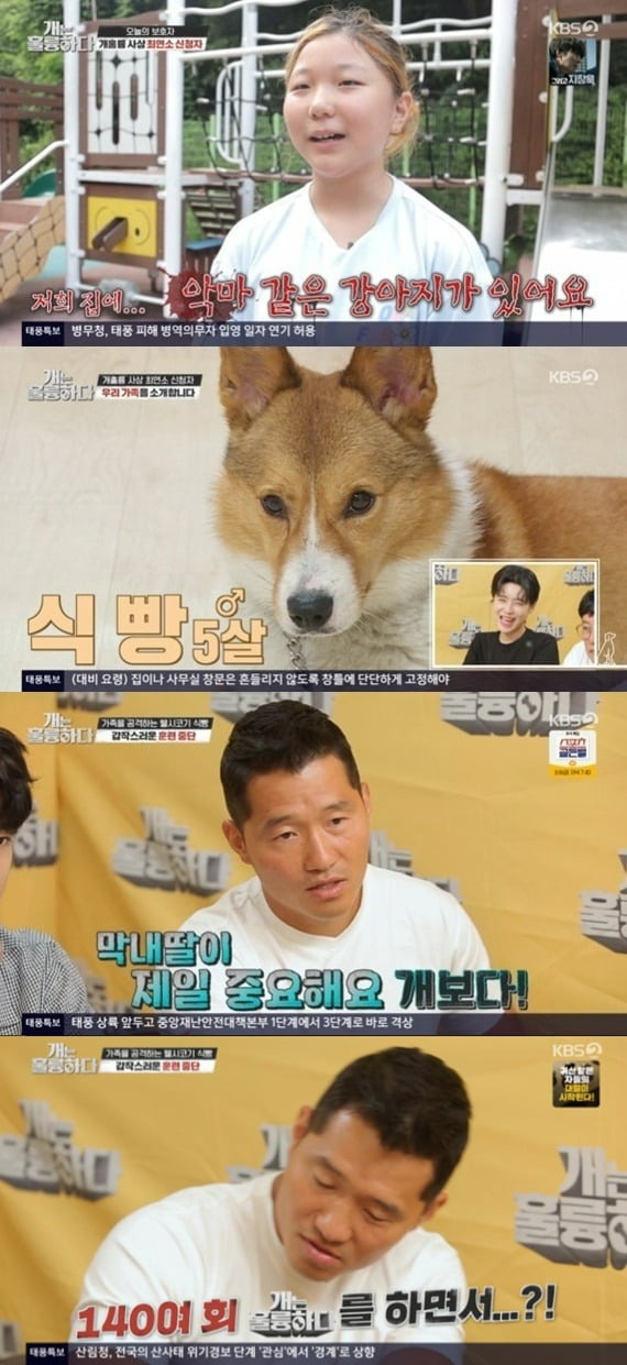 Kang Hyung-wook  has been struggling with the appearance of a dog that shows serious hunting habits and has stopped training.In the KBS2 entertainment Dogs Are Incredible (hereinafter referred to as Gae-Gyeong-ryung) broadcast on the last 5 days, Singer Jung Dong-won appeared as an apprentice, and the story of a dog bread was included.The story of Whistle Blower was 11 years old, the youngest of the Gaeulung.The dog is a 5-year-old Welsh Corgi bread, and in the reported video, the child was surprised and cried out in a rush to Welsh Corgi.There is a devil-like puppy, I do not know what to do when there is no one at home, said Whistle Blower, the youngest daughter of the house where bread is living.The bread showed a severe aggression toward the youngest daughter, and when the eldest son came, he showed Soyou aggression in the appearance of Soyou.In particular, bread was sent to a dog shelter by a resident report after threatening people after running away from home.Kang Hyung-wook  said, If it was America, it was just euthanasia.Lee Kyung-gyu, who has met bread since then, said, It is almost a wild dog level.Kang Hyung-wook  was put into the field and conducted training.The youngest daughter said that her eldest son did not give much restraint to the bread, and Kang Hyung-wook  taught her to restrain the bread firmly.Kang Hyung-wook  said that the family lacks the perception that the situation of bread is dangerous. Touching it is beautiful is to continue to cooperate.I can see that bread distinguishes strong and weak people. Kang Hyung-wook  then showed a brief pause in training; Kang Hyung-wook  said, I feel a little sick.Im upset, he said. The family is good and people are good. When the training is over, the bread will be angry.I did not know what to do in the middle. Kang Hyung-wook  said, My youngest daughter is the most important.Its the hardest thing to do, doing it 140 times, he said.Kang Hyung-wook , who was put back on the scene, was frustrated by the appearance of his mother Guardian, who could not control his fear.Kang Hyung-wook , who sent his youngest daughter, once again stopped training for the remaining family members, saying, There should be no time for the bread and the youngest daughter to be alone.Eventually, my little son has been informed after graduation that he will take the bread.Kang Hyung-wook  taught his eldest son and his eldest daughter how to control bread and asked for separation from his youngest daughter until the end.