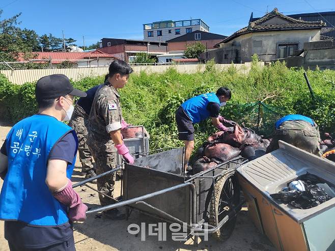 해군 장병들이 태풍 피해 복구 대민지원 활동을 하고 있다. (사진=해군)