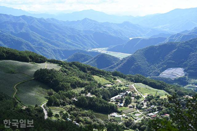 만경사에서 고랭지 채소밭과 주변 산세가 시원하게 보인다.