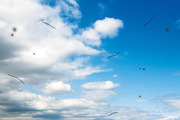 눈앞에 계속 벌레가 날아다니는 듯하다면 비문증을 한 번쯤 의심해봐야 한다./사진=헬스조선DB
