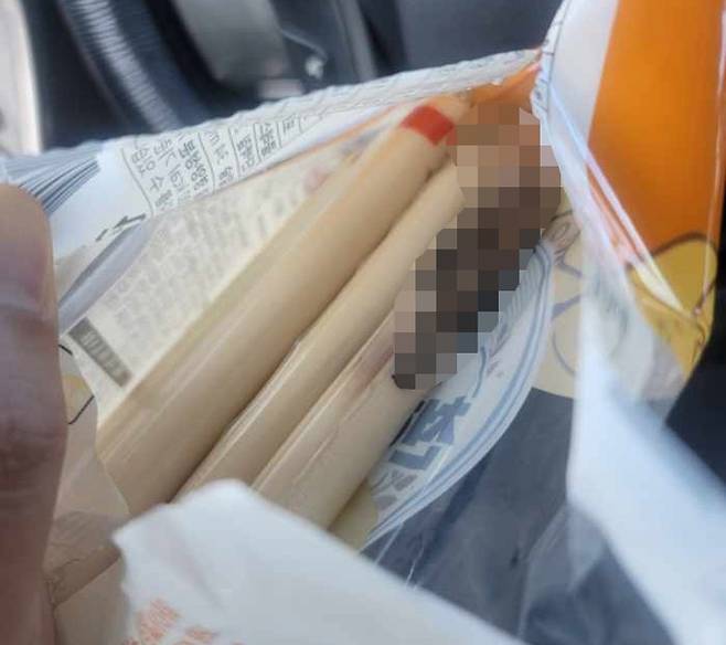 A씨가 지난달 구입한 천하장사 소시지에 곰팡이가 피어있는 모습. A씨 제공