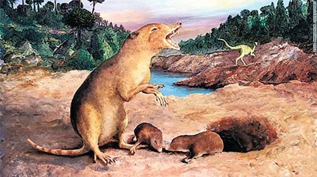 ‘최초의 포유류’ 브라질로돈 쿼드랑굴라리스(Brasilodon quadrangularis). 연구팀이 해부학 연구 등을 토대로 상상해 그린 그림이다. 영국 런던 자연사박물관 홈페이지