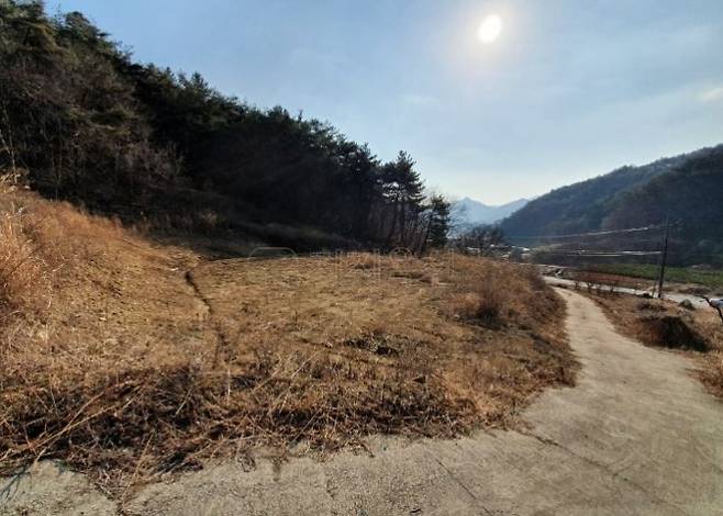 감정가보다 40배 높은 가격에 경매 낙찰된 순천시 황전면 죽내리 소재 밭. /사진제공=지지옥션