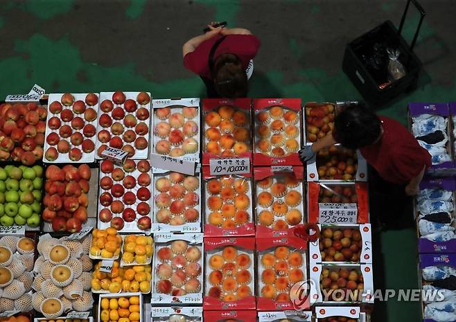 지갑 열기 무서운 추석 장보기 (부산=연합뉴스) 손형주 기자 = 추석을 앞두고 30일 부산 해운대구 반여농산물도매시장에서 시민들이 장을 보고 있다. 2022.8.30 handbrother@yna.co.kr
