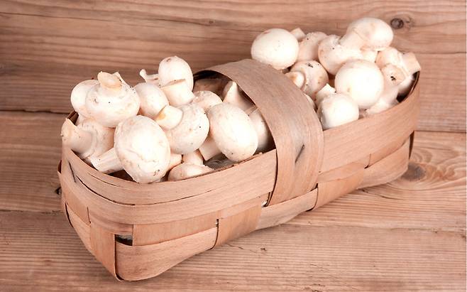 비타민D가 많은 음식으로 꼽히는 버섯. [망고보드]
