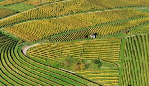 농림축산식품부가 농지 소유자의 실제 경작 여부 파악에 나선다. 국제신문DB