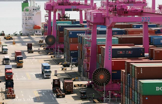 인천 연수구 인천신항에서 컨테이너 선적 작업이 진행되고 있다. /뉴스1