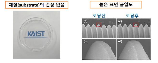 4차 암모늄을 포함하는 항박테리아 필름 코팅