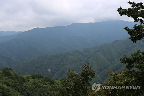 인제군 1052고지에서 바라본 금강산.[설악금강서화마을 제공. 재판매 및 DB 금지]