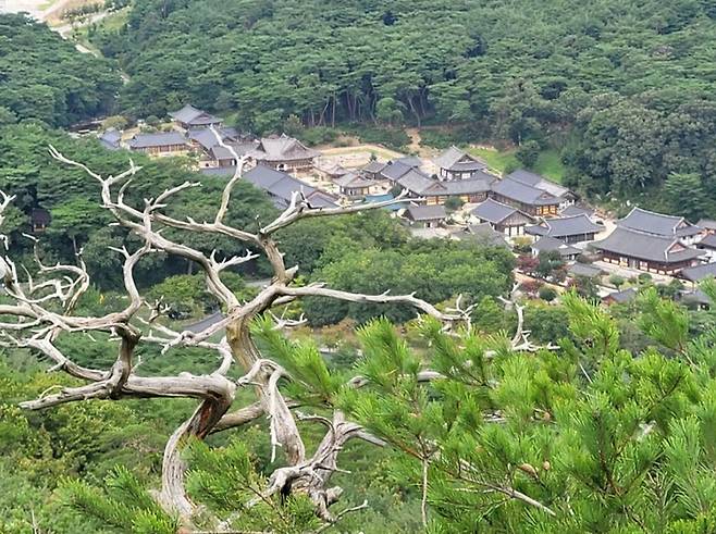 [서울=뉴시스] 16일 문재인 전 대통령과 김정숙 여사가 영축산 산행을 한 모습이 인스타그램을 통해 공개됐다. (사진=문재인 전 대통령 인스타그램) 2022.09.16. photo@newsis.com *재판매 및 DB 금지