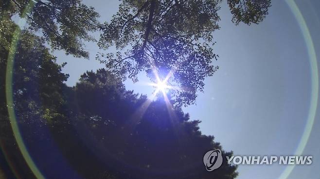 무더위 [연합뉴스TV 제공]