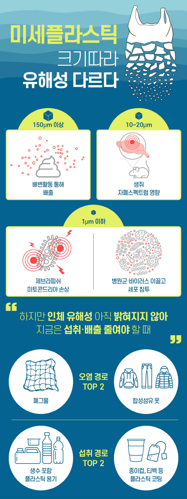 미세플라스틱, 정말 몸 속에 쌓여갈까? [헬스컷]