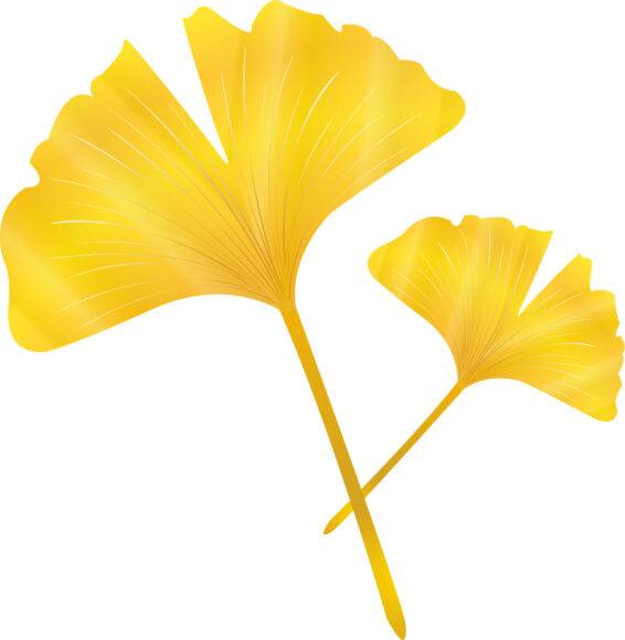 [이미지=클립아트코리아]