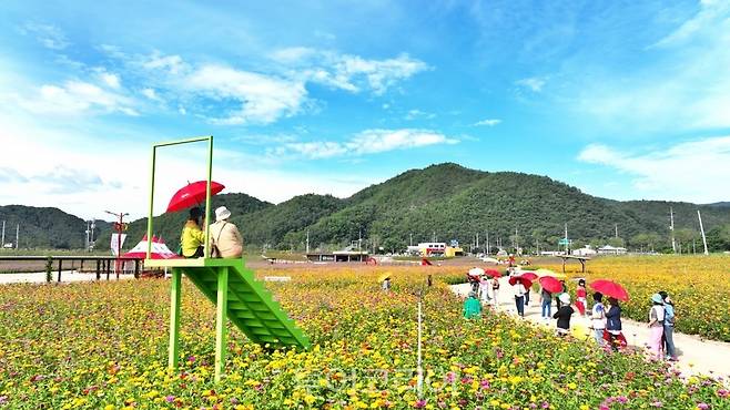 백일홍 만개한 청송정원