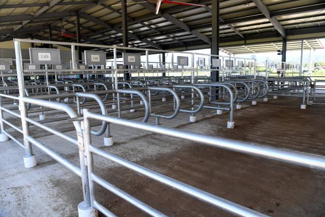 ▲ 최근 춘천지역 양돈농가에서 연이어 아프리카돼지열병이 발생하며 21일  춘천 신북읍 가축시장이 텅비어 있다. 이날 가축시장에서는 강원축산경진대회가 열릴 예정이었으나 축산인들의 밀집을 막기 위해 대회가 취소됐다.  김정호