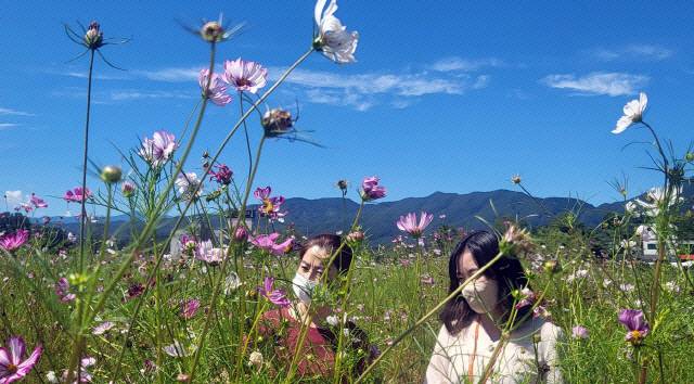 ▲ 청명한 가을 [강원도민일보 자료사진]