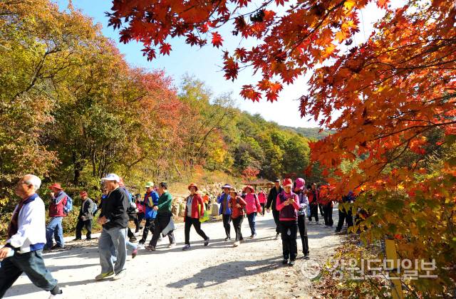 ▲ ‘금강산 가는 옛길 걷기대회’가 10월 6일 양구 두타연 일원에서 열린다. 사진은 2018년 걷기대회 모습.