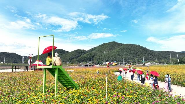 청송정원 전경/사진제공=경북 청송군