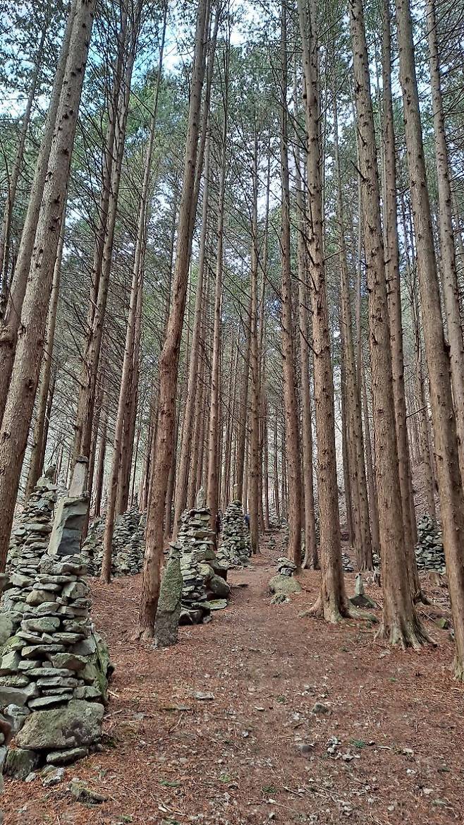돌탑길. 강종임 해설사 제공