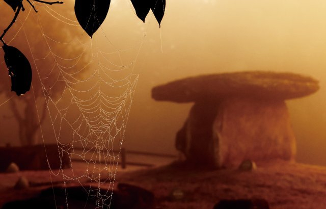 ▲고창 도산리 고인돌: Early morning dew drops on spider web at the Gochang Dosan-ri Dolmen, which is a northern-type dolmen in Gochang, North Jeolla Province. Photo Hyungwon Kang ⓒ Hyungwon Kang