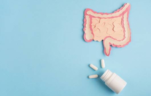 최근에는 상온 보관이 가능한 유산균 제품도 출시돼 있다 ㅣ출처: 게티 이미지뱅크