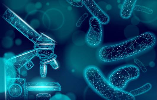 다이어트 목적이라면 HY7601, KY1032가 포함된 제품을 선택하는 것이 좋다 ㅣ출처: 게티 이미지뱅크