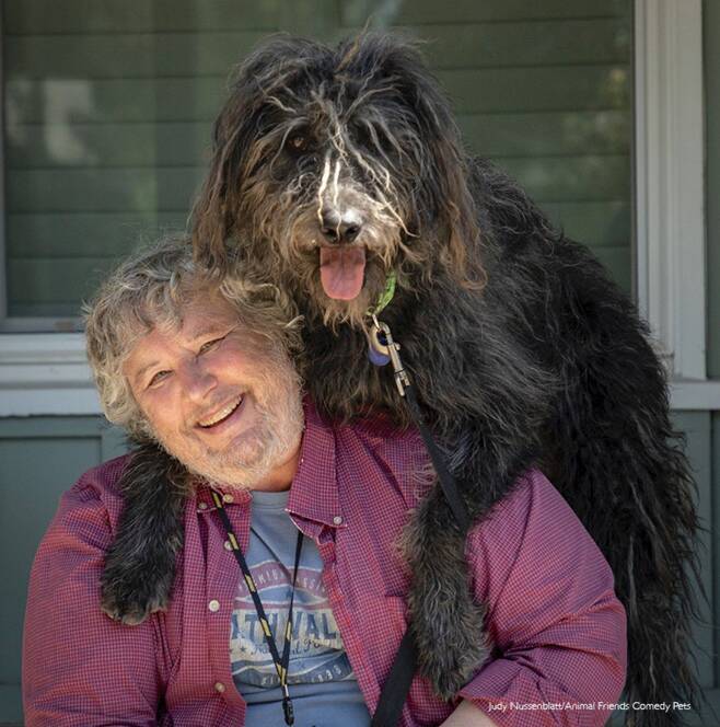 2022 웃긴 반려동물 사진전 주인과 가장 닮은 반려동물 부문상, Judy Nussenblatt '데이브와 더들리(Dave and Dudley)'/Comedy Pet Photo Awards