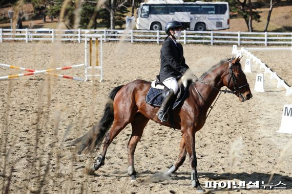 2021년 경주 퇴역마 품평회. 사진제공=한국마사회