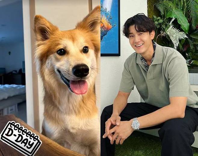 24 Days confirmation shows Lee Ki-woo uploads a Wedding ceremony today with a non-entertainment woman and Small Soldiers Wedding at Jeju Island Motivation.Lee Ki-woo posted a picture of D-DAY on his Instagram story this morning.In the photo, Lee Ki-woos dog Teddy Park was laughing happily.Teddy Park seems to have represented Lee Ki-woos long-distance mind.Lee Ki-woo left a thrilling feeling on the 23rd day before the day before, Oh weather is good ~ on the Instagram dedicated to Teddy Park.Lee Ki-woo said on the 23rd of last month that he will ring the wedding march this month through his agency.Lee Ki-woo marries with non-entertainer GFriend in September at Jeju Island, said Never Die Entertainment.Nothing is known except Lee Ki-woos bride-to-be, who is younger than Lee Ki-woo.Lee Ki-woos Wedding ceremony will be held at Jeju Island with Small Soldiers Wedding.Lee Ki-woo plans to invite only family and close acquaintances to quietly carry out Wedding ceremony.Lee Ki-woo also posted on the Instagram account for his dog Teddy Park at the same time, announcing the adoption of the bride-to-be and Teddy Park, an organic dog.Lee Ki-woo said from Teddy Parks point of view, It seems like it is time to tell the hidden story of the day... On January 3, 2021, when the snow and cold weather that fell exceptionally much passed the year.Winter. I was wandering between the corners of Daejeon and the private houses without my parents brothers, and I met good human beings and I was temporarily protected. There was a human who came to me for a month after hearing my news, he said. It was a human long and exceptionally warm hand that I wanted to be so long. Lee Ki-woo and bride-to-be mentioned.In that first meeting, there was one more human who carefully put me on my lap and came to Seoul.It is a human who helped me to get out of the tunnel of Patros and to be courageous, and it is always a human being who takes most of the pictures of the roadside and me, he said.Lee Ki-woo has been uploading pictures with Teddy Park on his Instagram for a long time and said that it was GFriend who took the picture.Lee Ki-woo said on January 3 last year that he adopted Teddy Park through Teddy Parks account, and that it was earlier and more than a year and eight months before the birth of Lee Ki-woo and the bride-to-be in Teddy Park.Lee Ki-woo also mentioned in the marriage announcement that it was years ago.Meanwhile, Lee Ki-woo made his debut in the movie Classic in 2003 and was loved by Cho Tae-hoon in the recently released JTBC drama My Liberation Diary.We are currently reviewing our next film.