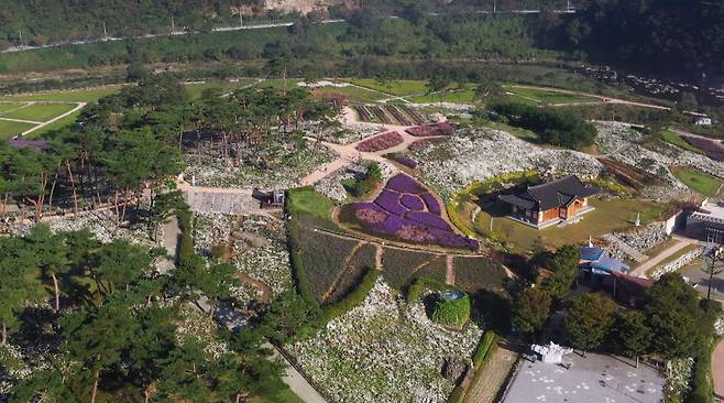 정읍 구절초 지방정원에서 29일부터 가을꽃축제 이미지