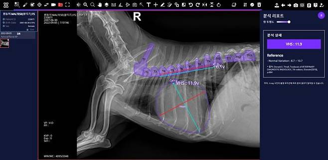 엑스칼리버로 분석한 반려견의 VHS 엑스레이 사진.ⓒSKT