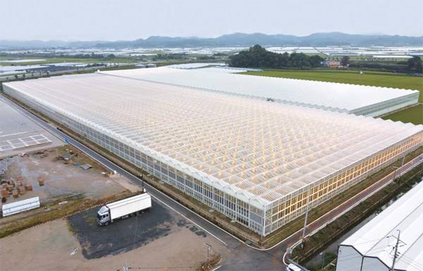우듬지팜이 운영 중인 첨단 반밀폐 유리온실 모습. [사진 제공 = 우듬지팜]